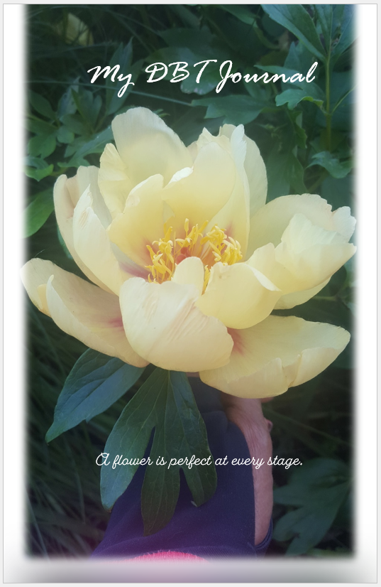 My DBT Journal - The Beginners Package