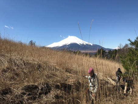 2020年🦌鹿角採集ツアー開催🦌