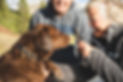 chewy-1p7TrM0LkXc-unsplash.jpeg