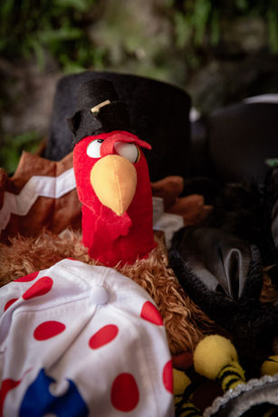 Accessoires für die Fotobox