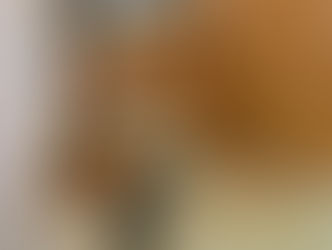 Residential Spray Foam Application