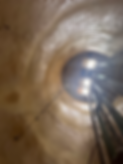 Structural Lining 2nd Picture.HEIC