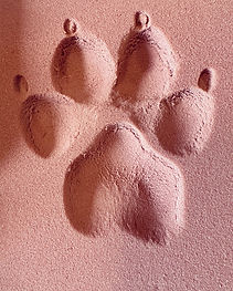 PawPals Print Keepsake, large