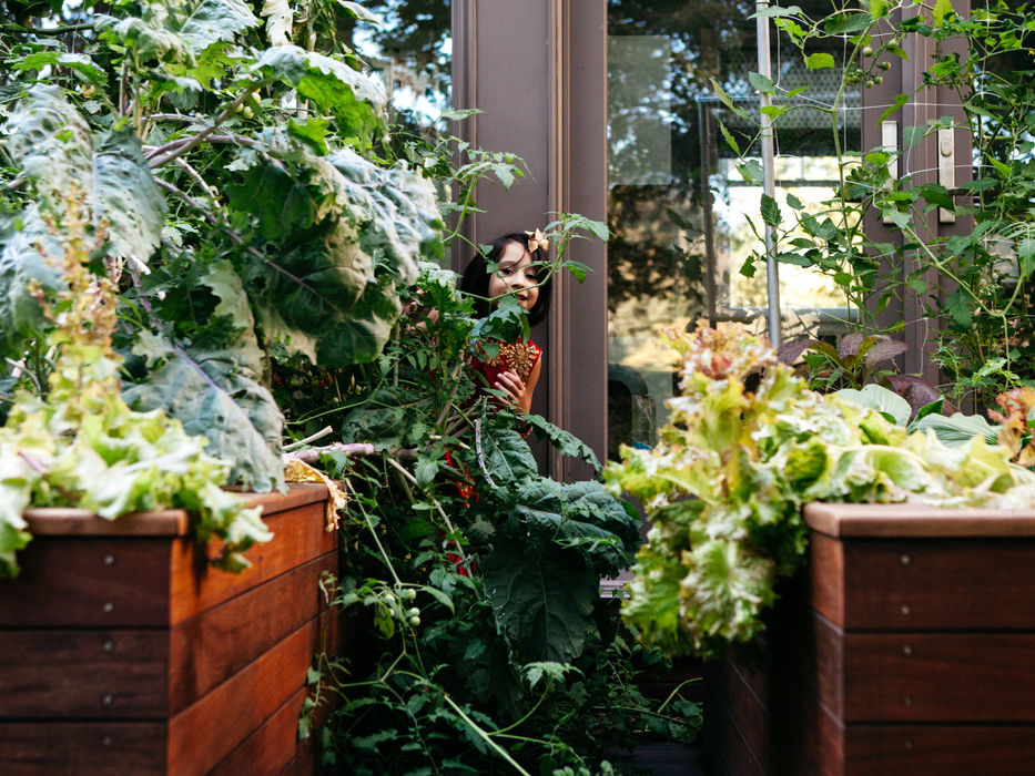 a girl peeking out from behind a wall of plants