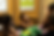 6F0A0244.png