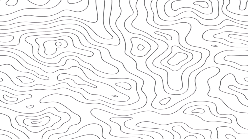 2026 November 8.png
