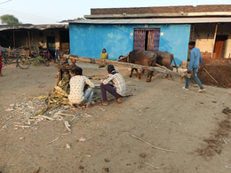 जानें कैसे बनाया जाता है गन्ने के रस से पकवान