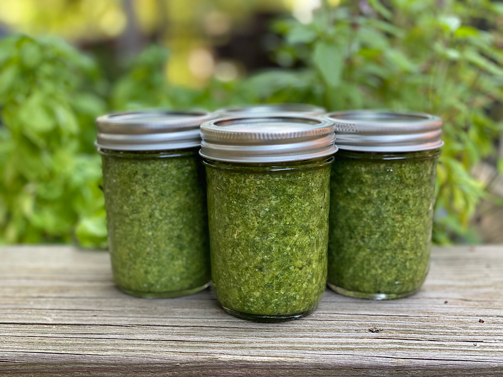 Basil Pesto: A Little Jar of Green Magic Meant to Be Shared