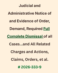 I do Not Understand Consent Accept-15.png