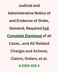 I do Not Understand Consent Accept-13.png