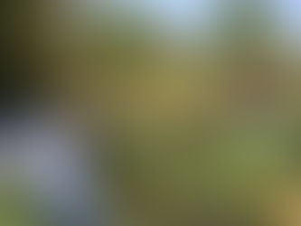 CANAUX DE TRANS-EN-PROVENCE : NOUS FAISONS DÉJÀ BOUGER LES LIGNES  !