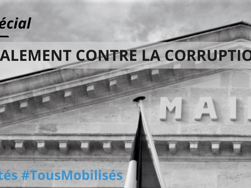 TRANS-EN-PROVENCE : AGIR LOCALEMENT CONTRE LA CORRUPTION ?