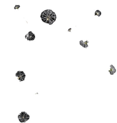 Logo - FAYTH (3)_edited_edited_edited_ed