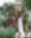IMG_6450.png