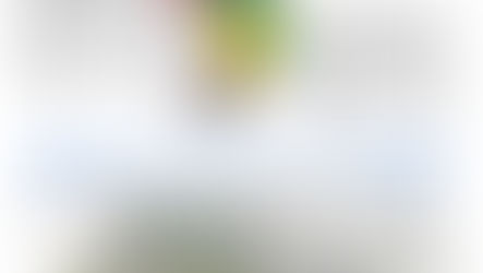 【政策】この10年で曳舟が大きく変わる！？