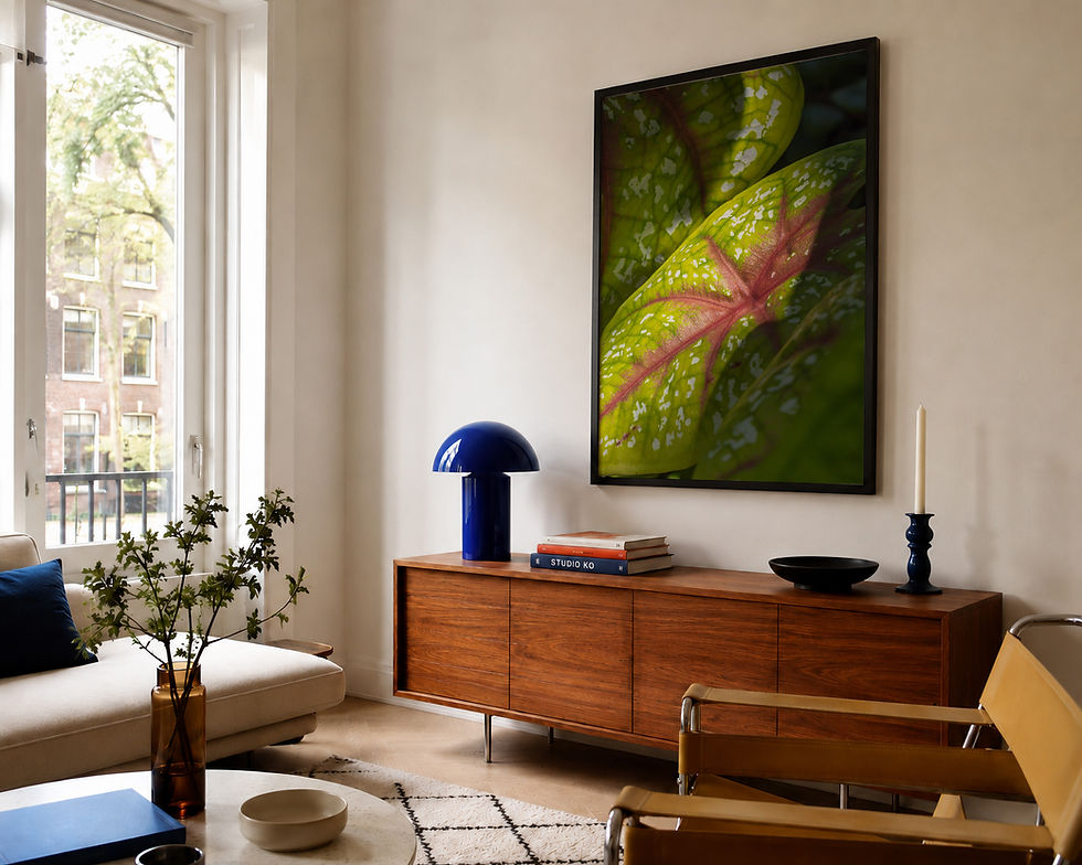 Thumbnail: Speckled Light print in a black frame on a living room wall