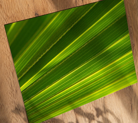 Striations_Web - Print only on table_edited.jpg