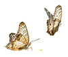 Heading.png