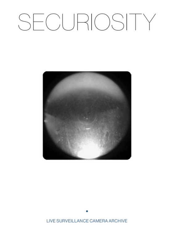 SECURIOSITY.png