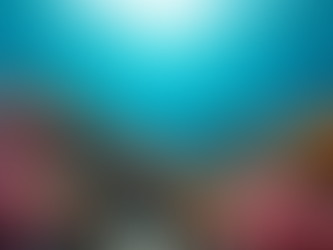 The Top Reasons to Start Diving and Explore the Underwater World