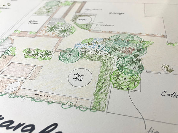 Hand illustrated garden design
