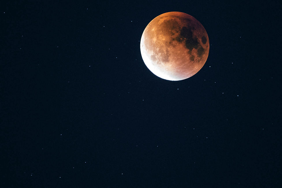 Lunar Eclipse View