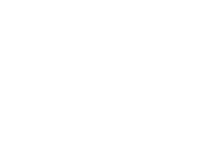 great profir-1.png