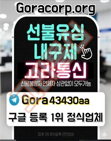 고라통신 선불유심 소액급전 내구제