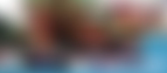【香港許願節 首次取消】