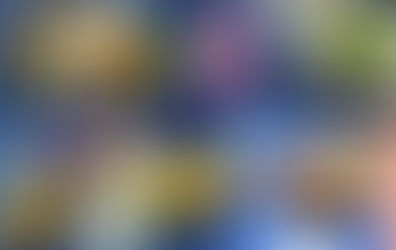 みたらしなもん (@yuhi_juna)