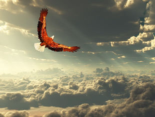 Viaje al amor de Dios