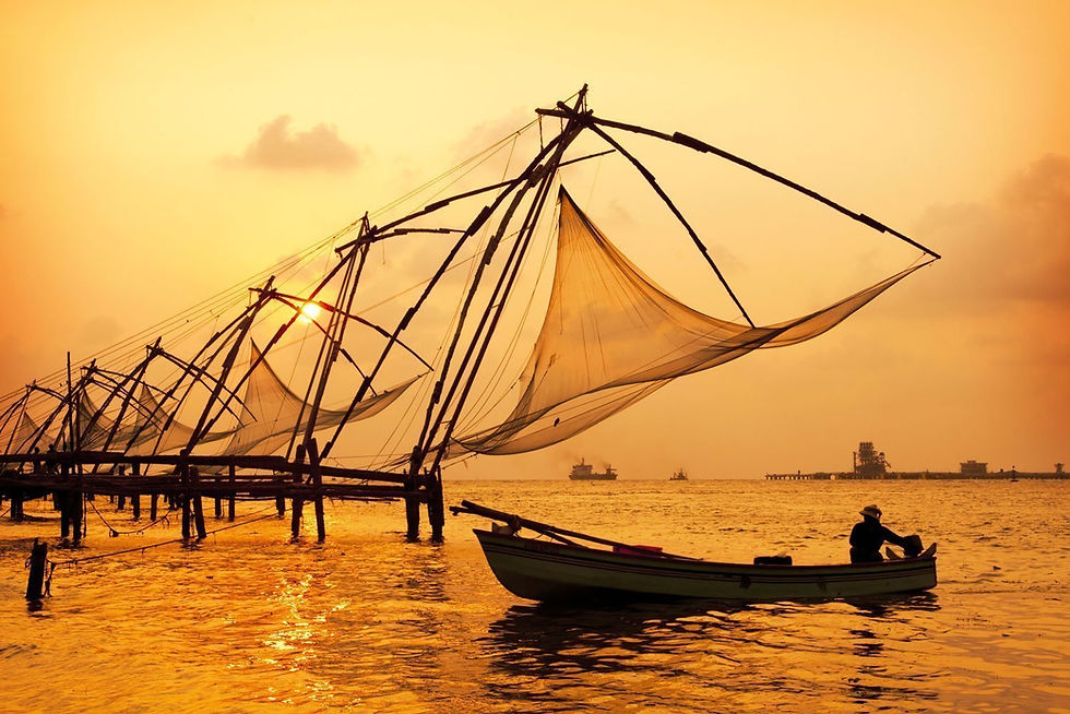Imej kecil: 4D3N Kerala Standard Honeymoon Package