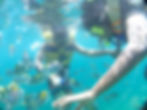 Snorkeling