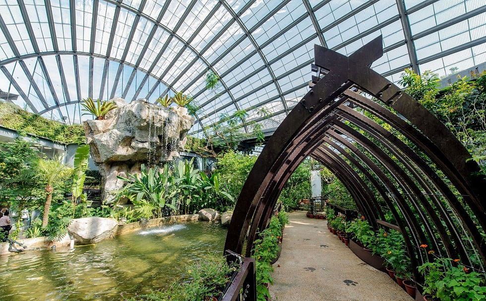 Visitors can be seen exploring the immersive indoor and outdoor exhibits, which include butterfly gardens, educational displays, and interactive experiences.