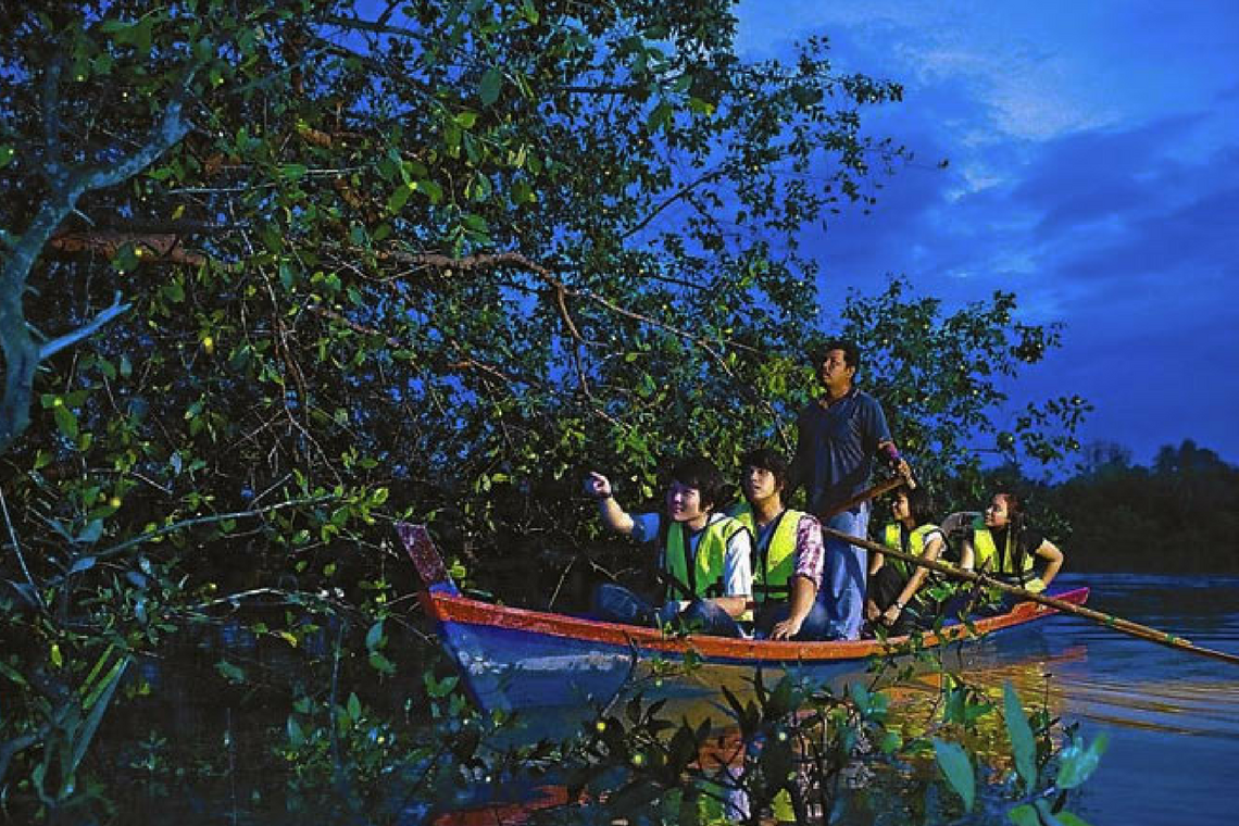 2D1N Fireflies Tours Kuala Selangor