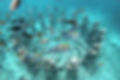 Gili Trawangan