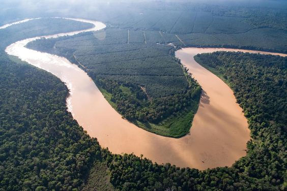 a wide river surrounded by dense tropical rainforest.