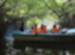 Madu Ganga