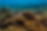 Perhentian Island