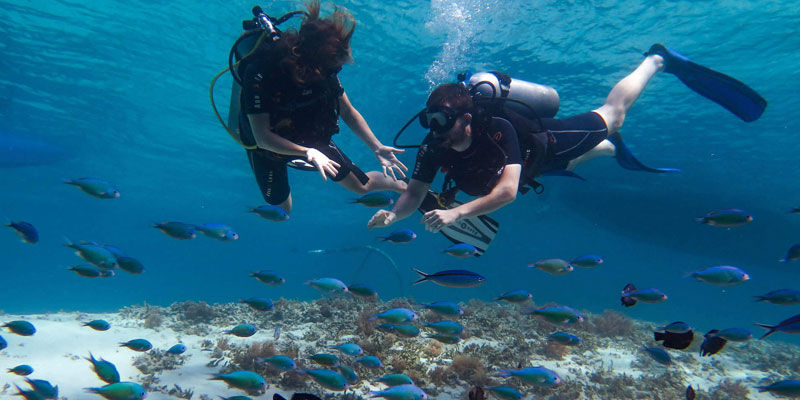 Imej kecil: PENANG ISLAND PULAU PAYAR MARINE PARK