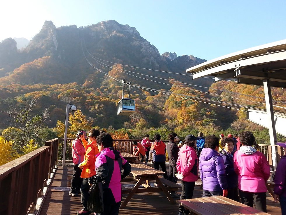 الصورة المصغرة: 5D4N Seoul + Nami Island + Mt Seorak Tour Packages (SIC)