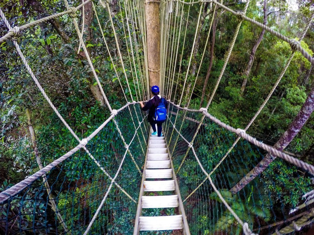 4D3N Taman Negara Full Board Luxury Package VIA Kuala Lumpur