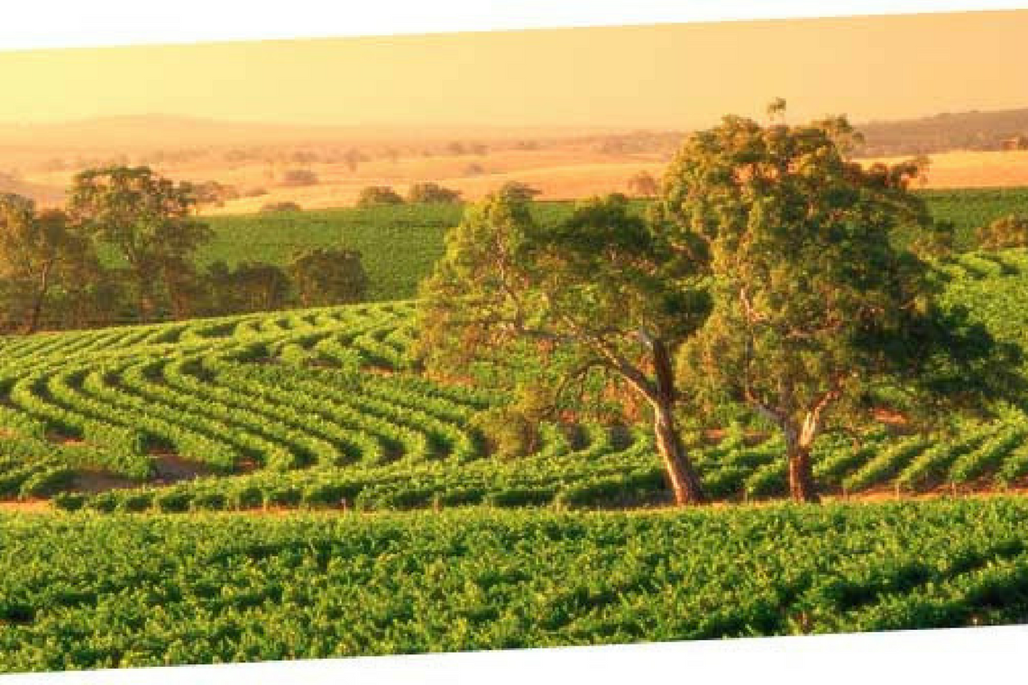 5D4N Adelaide + Kangaroo Island Experience Tour Package