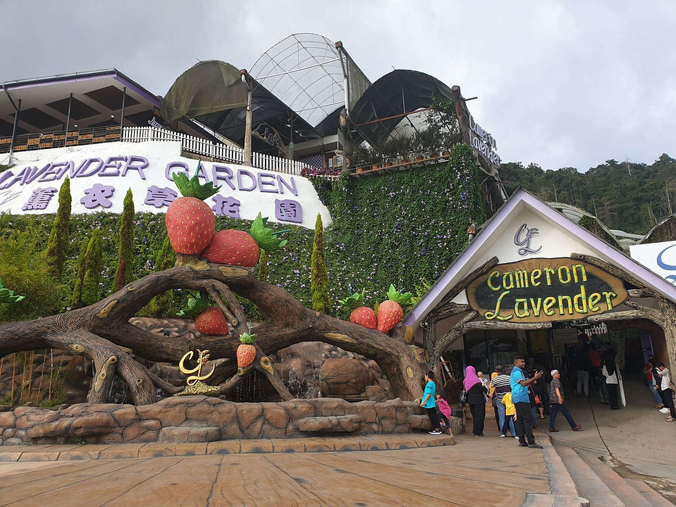 Imej kecil: Lavender Park - front entrance