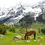 Thumbnail: pahalgam horse riding