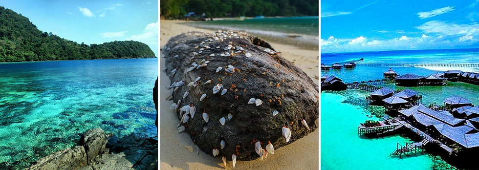Thumbnail: 3D/2N Pulau Tenggol Snorkeling Package