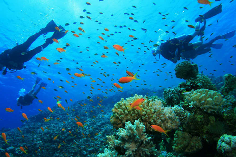 Thumbnail: 3D/2N Pulau Tenggol Snorkeling Package