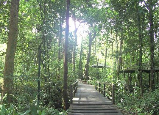 Thumbnail: Permai Rainforest Resort