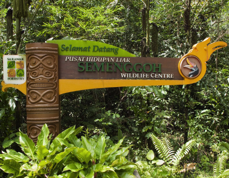 الصورة المصغرة: Semenggoh Nature Reserve