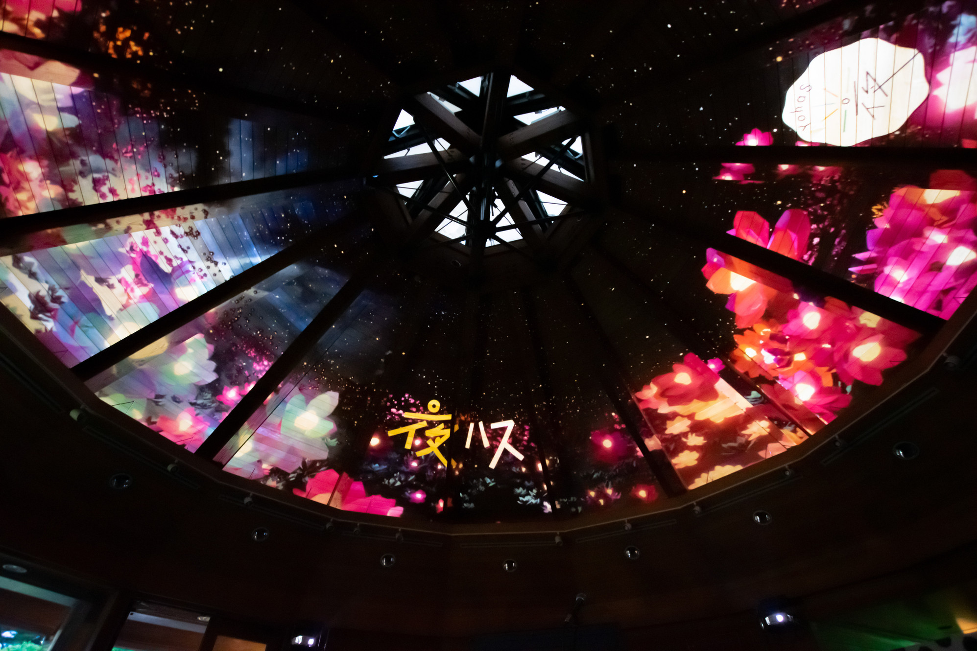 トップ | YohaS 夜ハス/大賀ハスまつり夜の部
